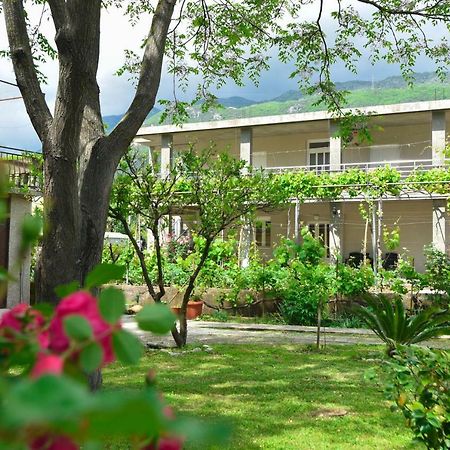 Apartmani Mihovic - Jaz Budva Exteriör bild